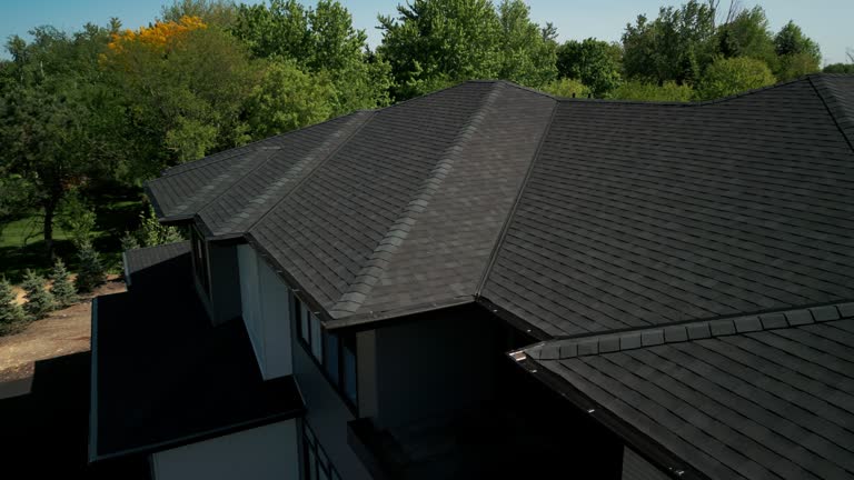 Best Solar Panel Roofing Installation  in Jenison, MI