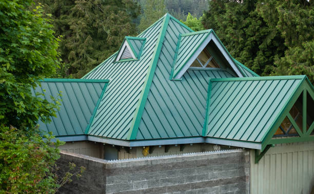 Best Gutter Installation and Repair  in Jenison, MI