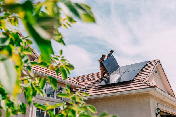Best Roof Moss and Algae Removal  in Jenison, MI