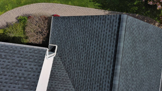 Best Storm Damage Roof Repair  in Jenison, MI