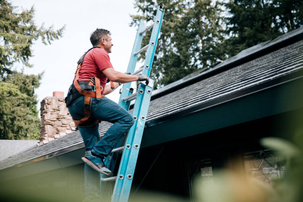 Best Roof Installation  in Jenison, MI