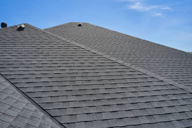 Best Steel Roofing  in Jenison, MI